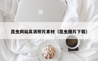 迪庆昆虫网站高清照片素材（昆虫图片下载）